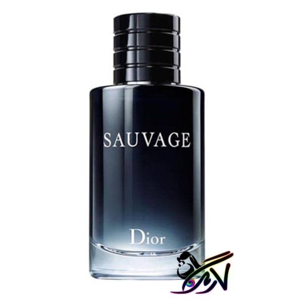 خرید ارزان ادکلن دیور ساواج ادو پرفیوم | Dior Sauvage Eau de Parfum